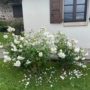 https://romantico-cottage.it-tuscanyhotel.com